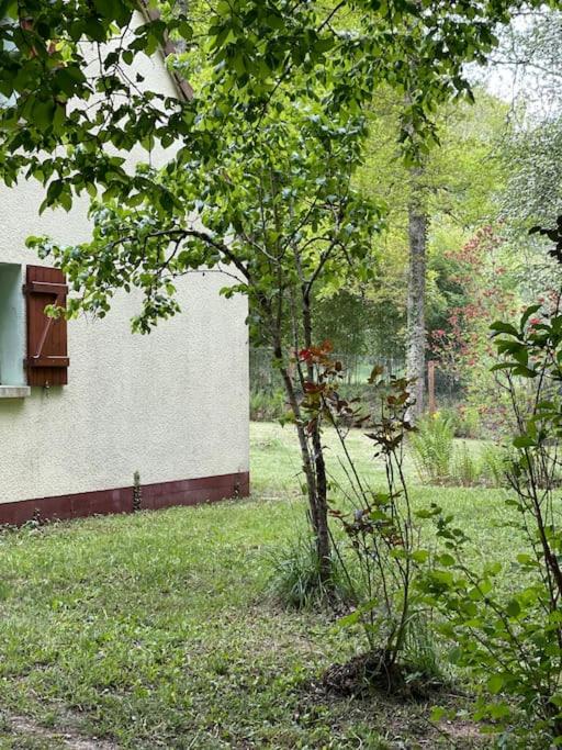 Gîte Les Reculons au pied du lac - B&B Les Midoux