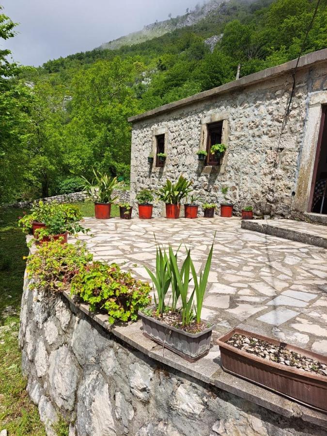 B&B Kotor - Nature Escape Montenegro - Bed and Breakfast Kotor
