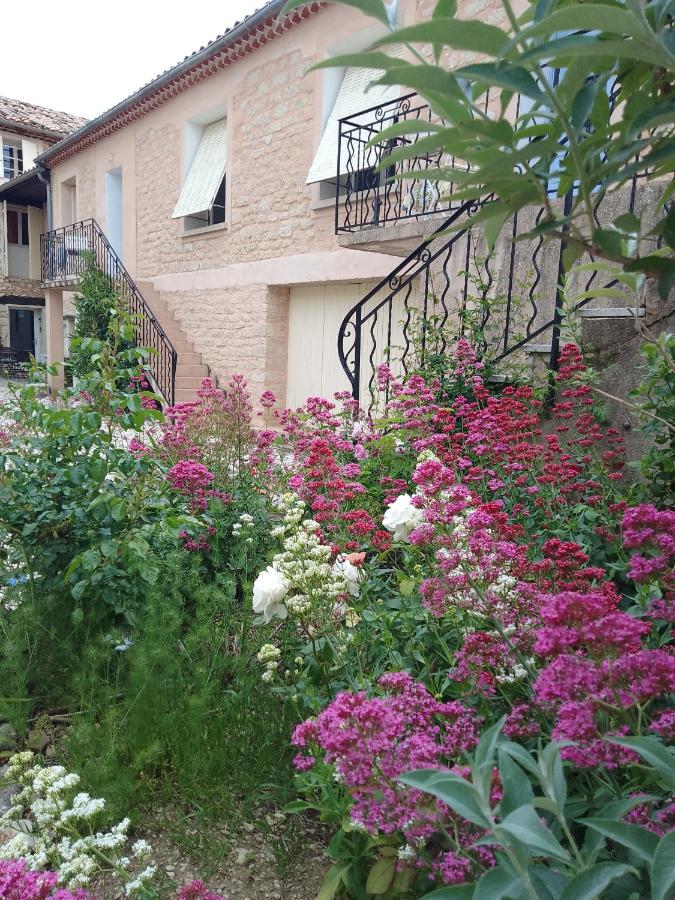 Les Gites du Mont Ventoux - B&B