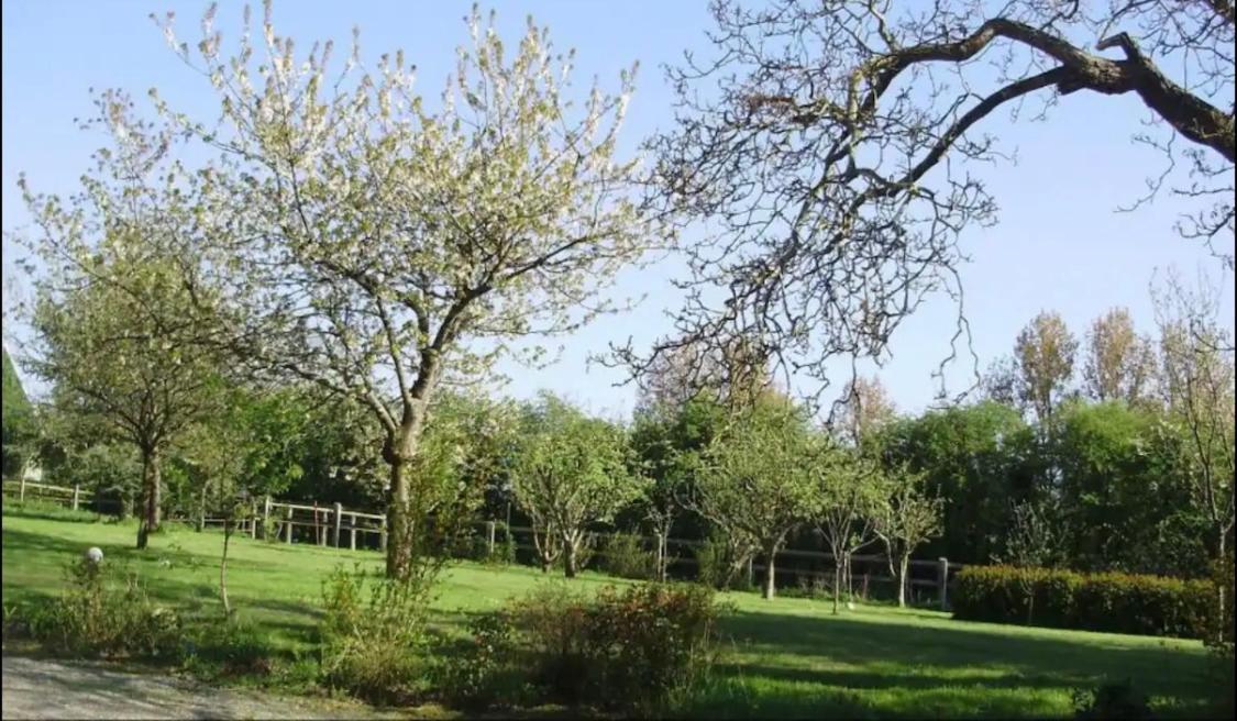 Gîte à la campagne - B&B