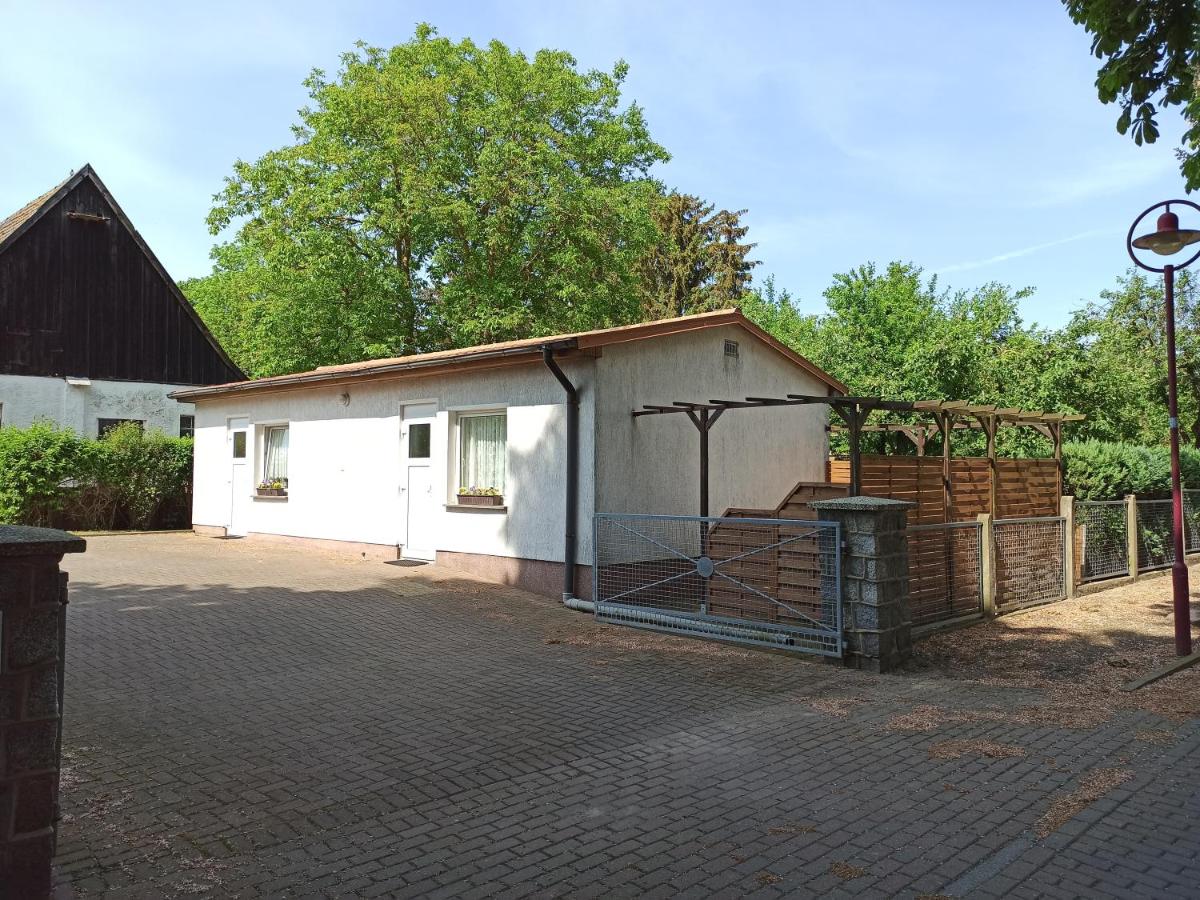 Ferienhäuschen Kastaniennallee im Herzen von Rügen - Ferienwohnung Samtens