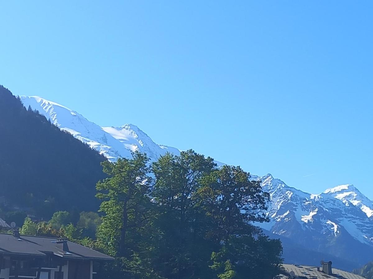 Joli studio à St Gervais les bains - B&B