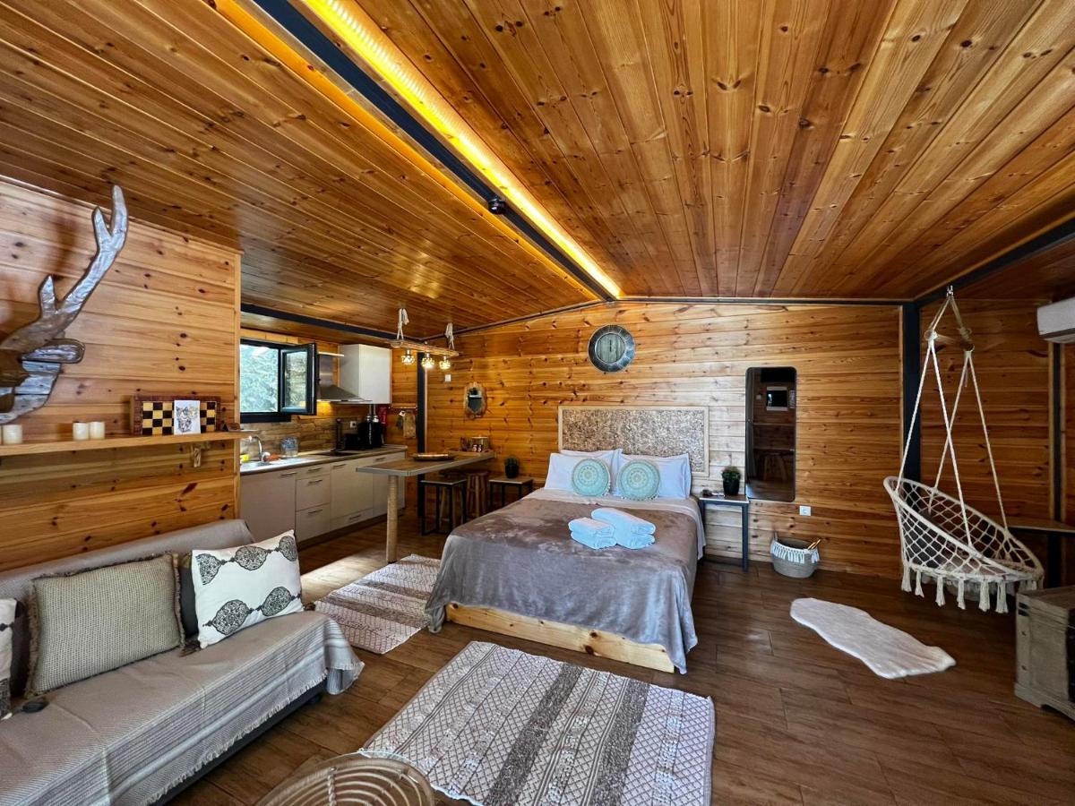 Wooden Summer House - B&B Mantoúki