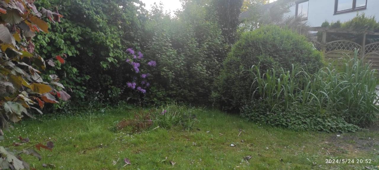 Lilli Flensburg Fewo - B&B