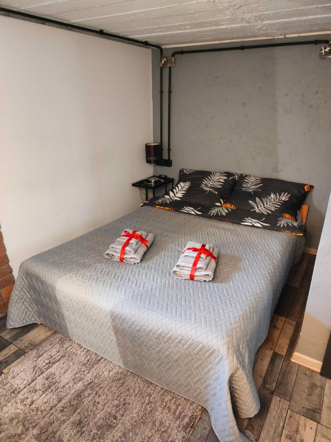 741 Slate Apartament Jedlina - Zdrój