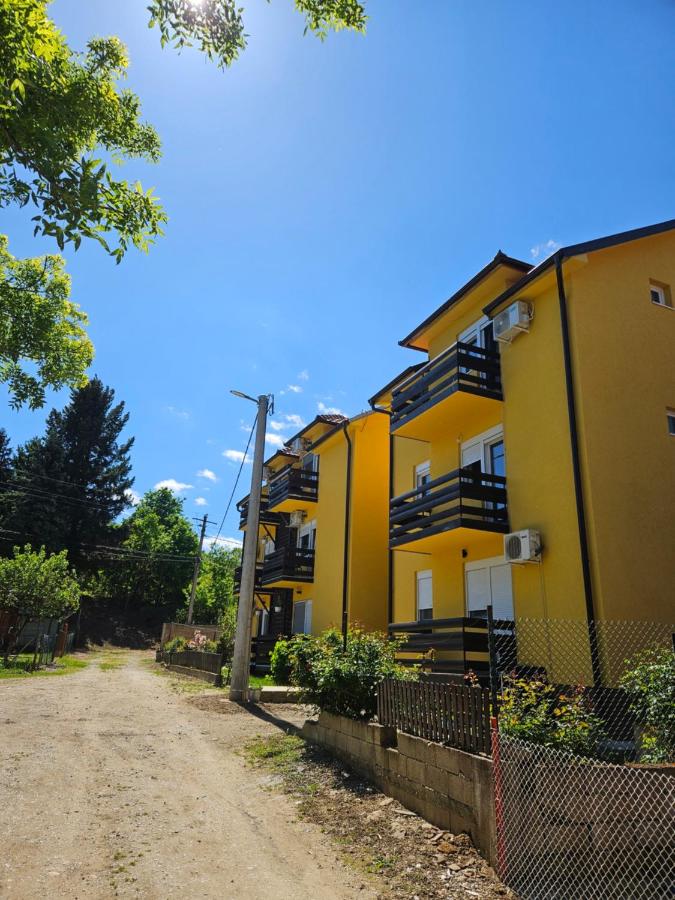 Apartman Knežević Banja Vrujci - Bed and Breakfast