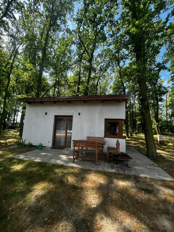Maison 1 Chambre