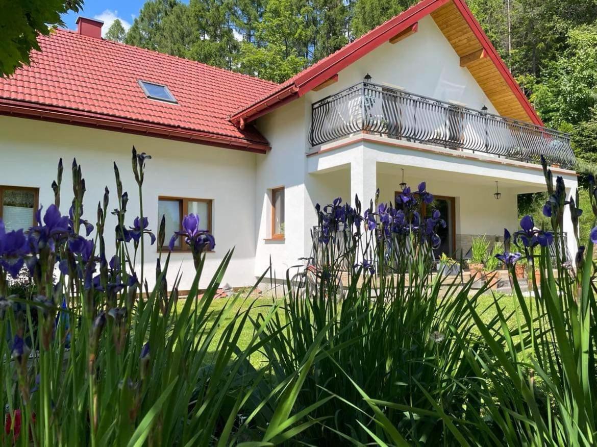 B&B Kamesznica - Zakątek Słoneczny pod Baranią Górą - Bed and Breakfast Kamesznica