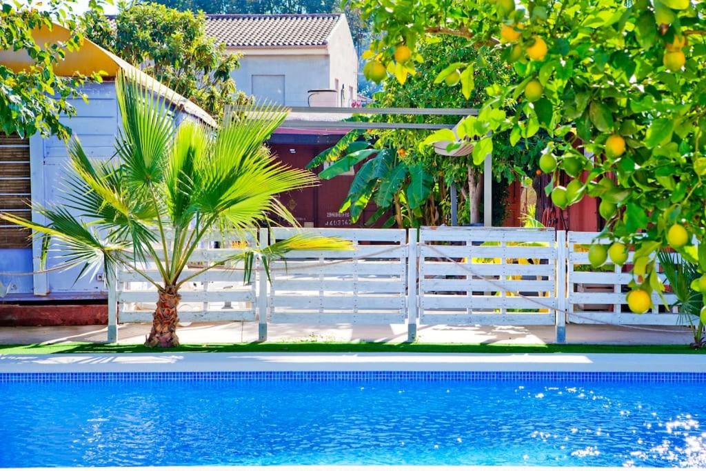 OasisTrain 01 - PISCINA - B&B Murcia