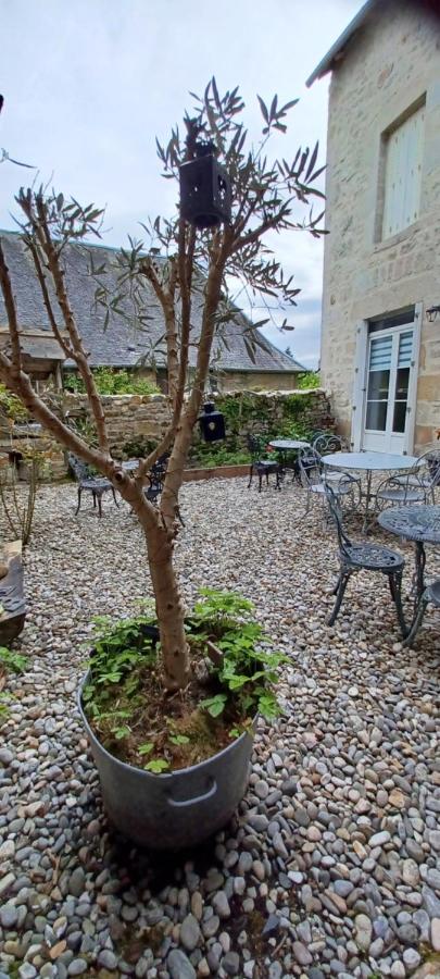 Logis La P'tite Futée - B&B