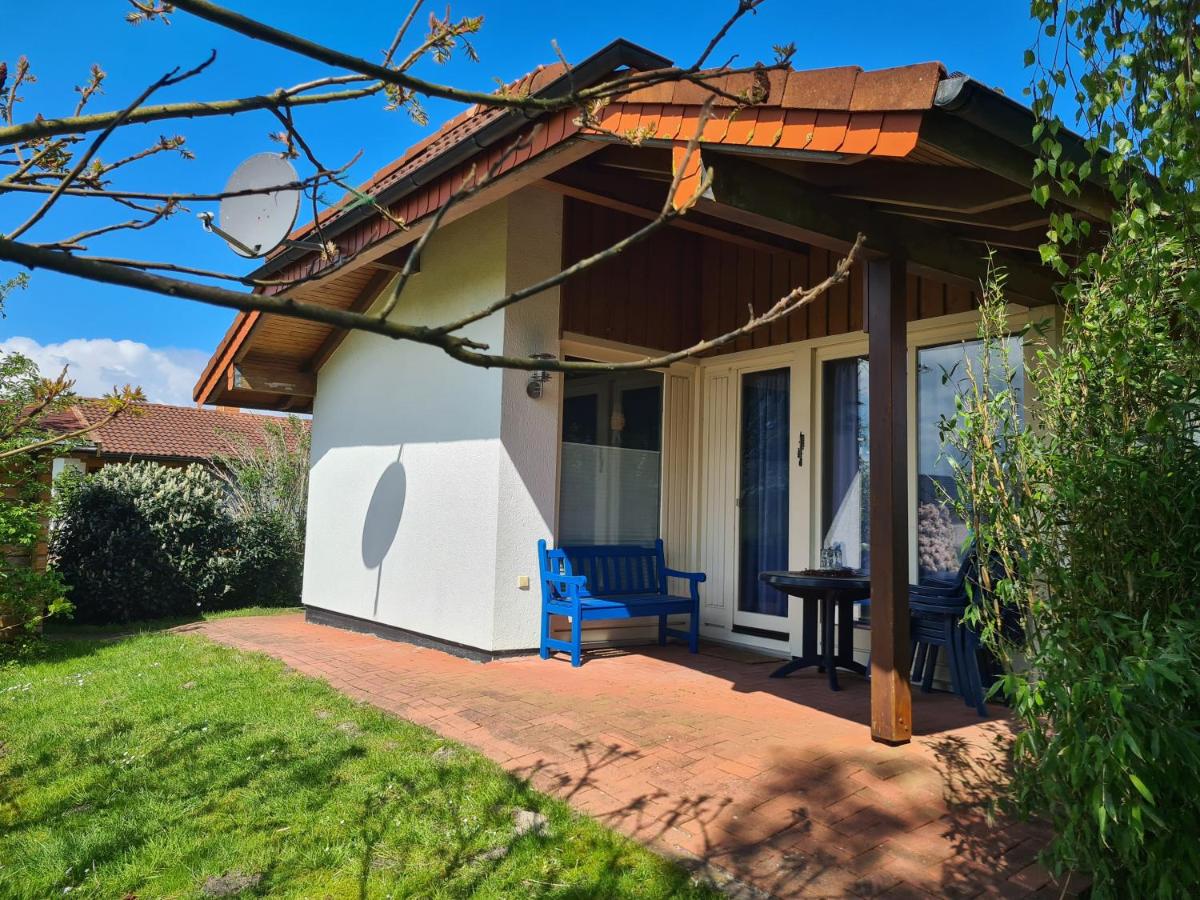 Haus Austernfischer - Ferienwohnung