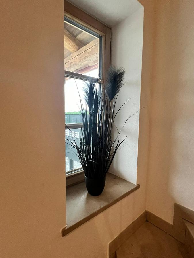 Apartamento de 3 dormitorios con piscina privada