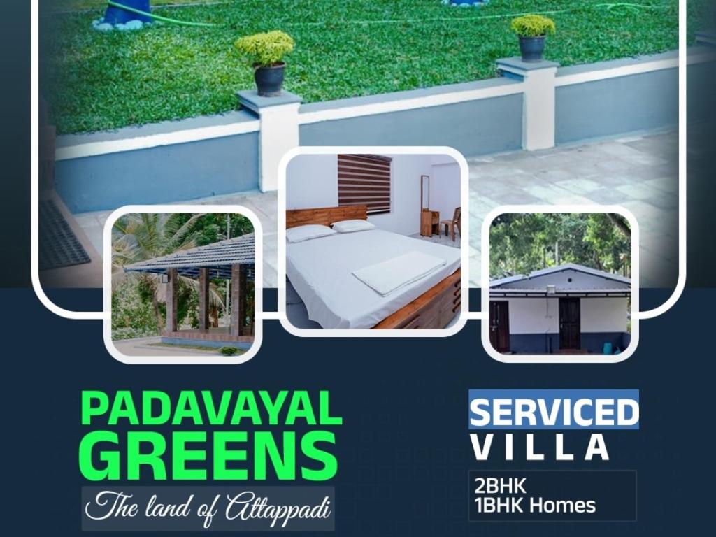 B&B Attapady - PADAVAYAL GREENS - Bed and Breakfast Attapady