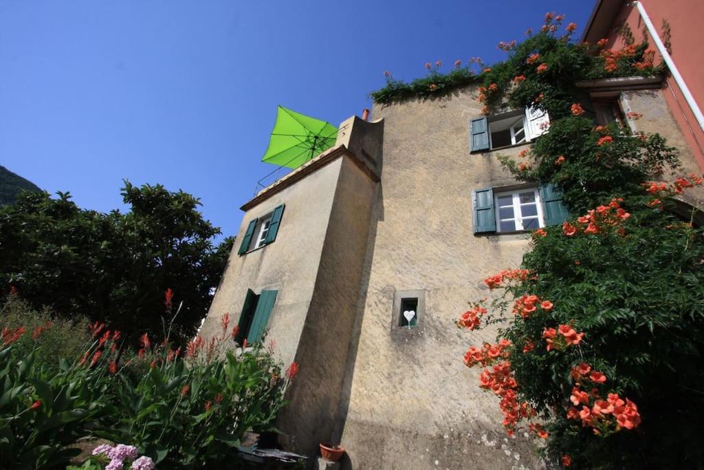 FORYOU Casa Storica nel Parco Cinque Terre - B&B Riccò del Golfo di Spezia