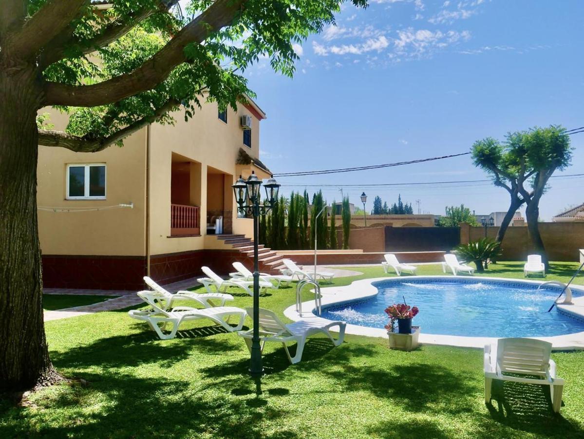 B&B Seville - Your Oasis in Sevilla! Awesome Pool! BBQ! - Bed and Breakfast Seville