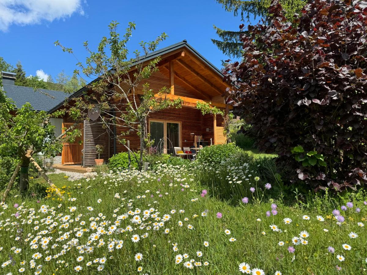 Ferienwohnung Wildrose - Ferienwohnung Bad Mitterndorf