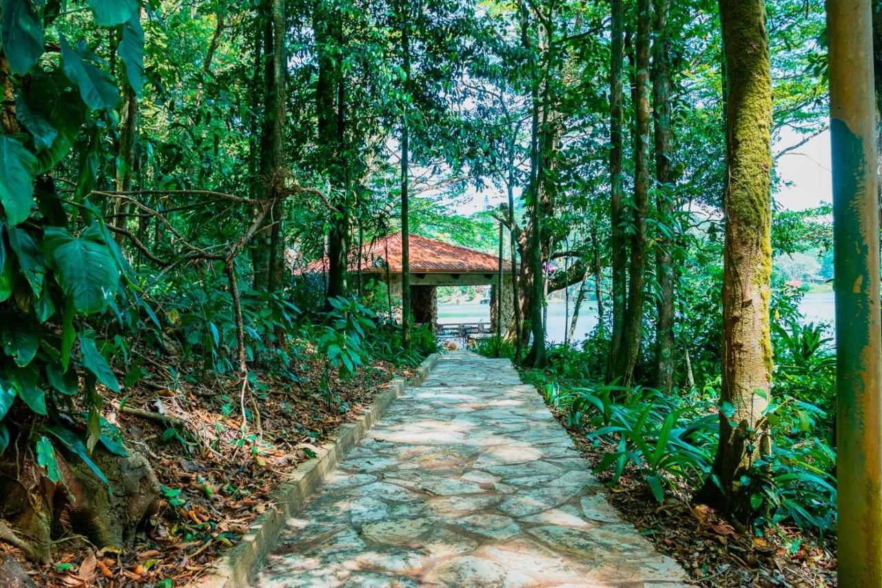 La Perezosa en Cerro Azul - Somos Pet friendly - B&B