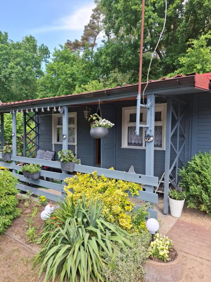 Domek pod brzozami - B&B