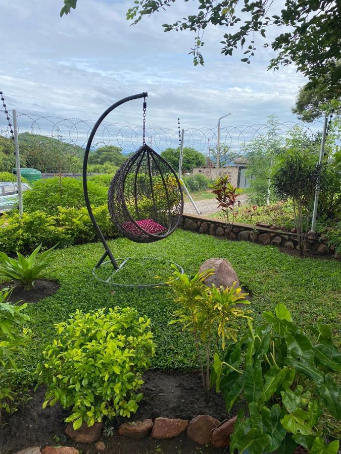 The view - B&B