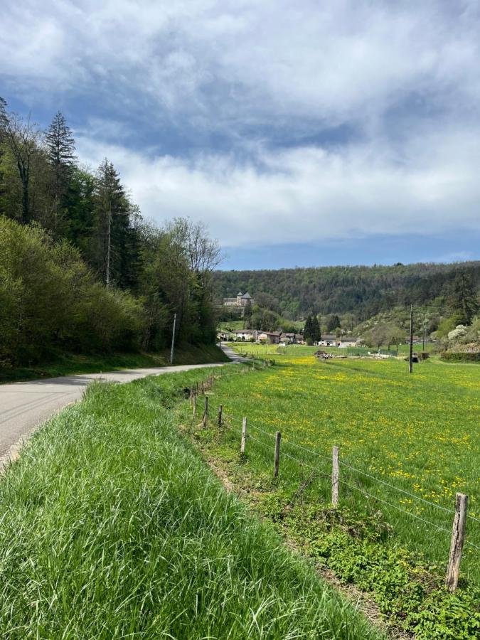 Serene Wilderness Getaway for 15 next to a historic castle - Ferienwohnung Valfin-sur-Valouse
