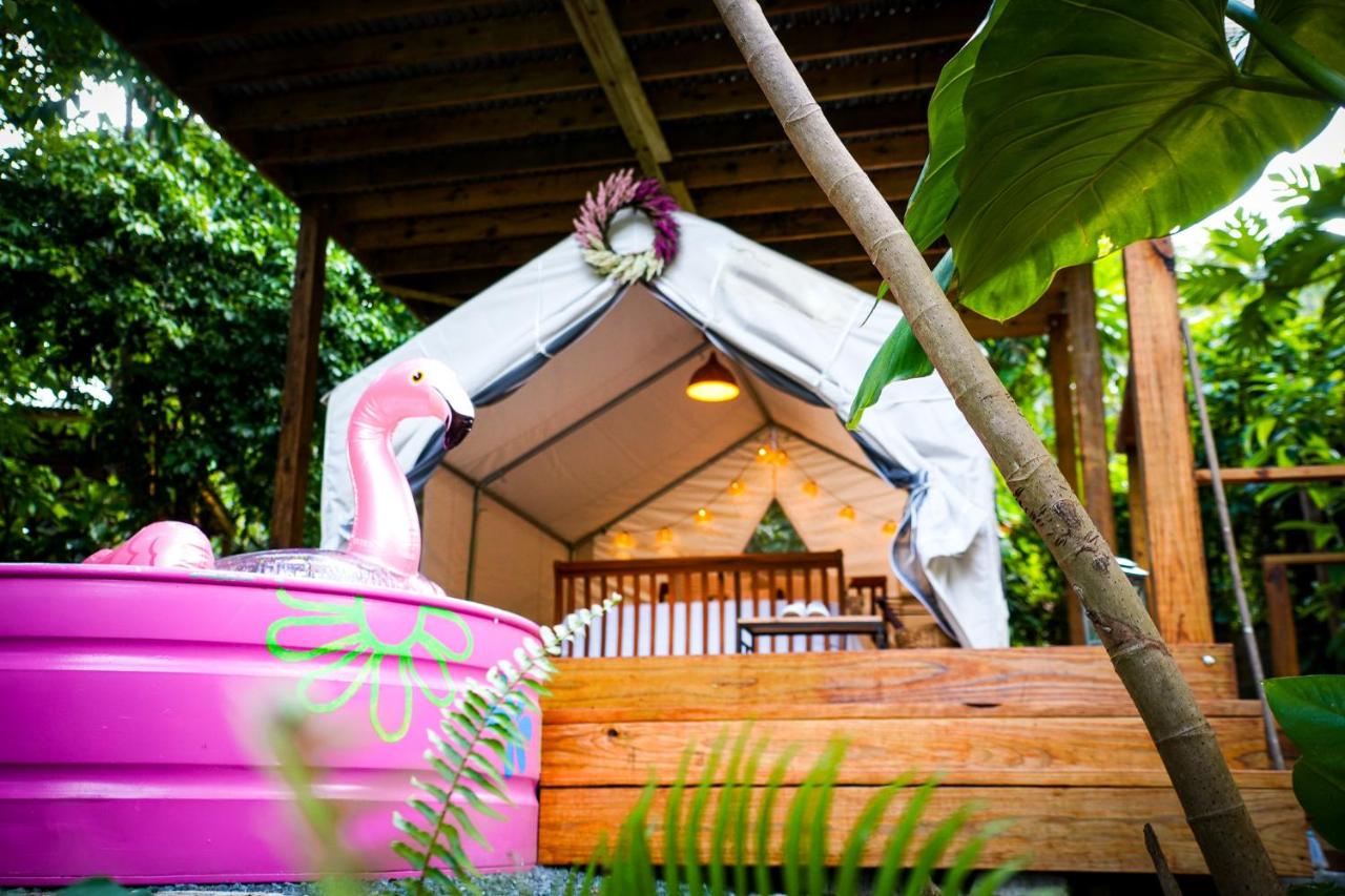 El Yunque Glamping River View at Casa Parcha - Bed and Breakfast