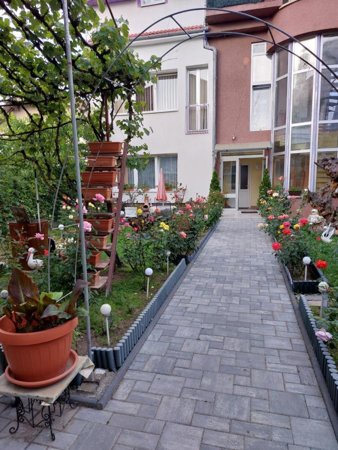 Rodica Apartment - B&B