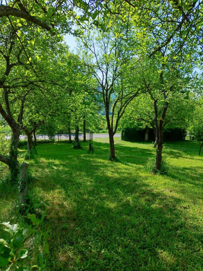 Apartmani Lohovo - Chambres d'hôtes Bihać