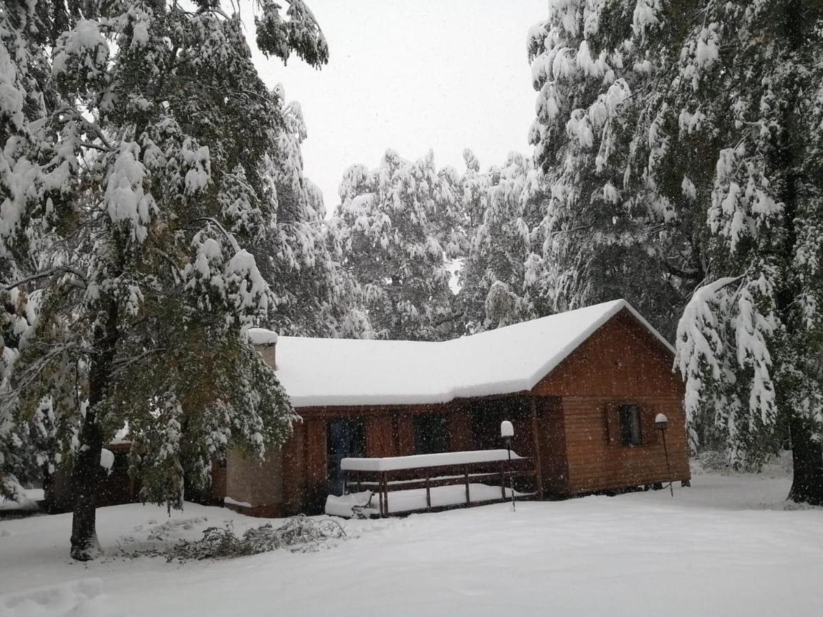 Cabaña en Termas de Chillán - Ferienwohnung
