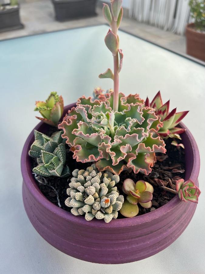 Chipibeach B&B, Hostal Boutique - Ferienwohnung Chipiona