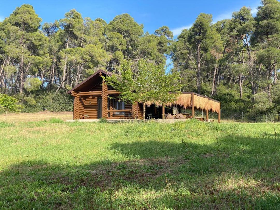 Wood house Halkidiki - Ferienwohnung