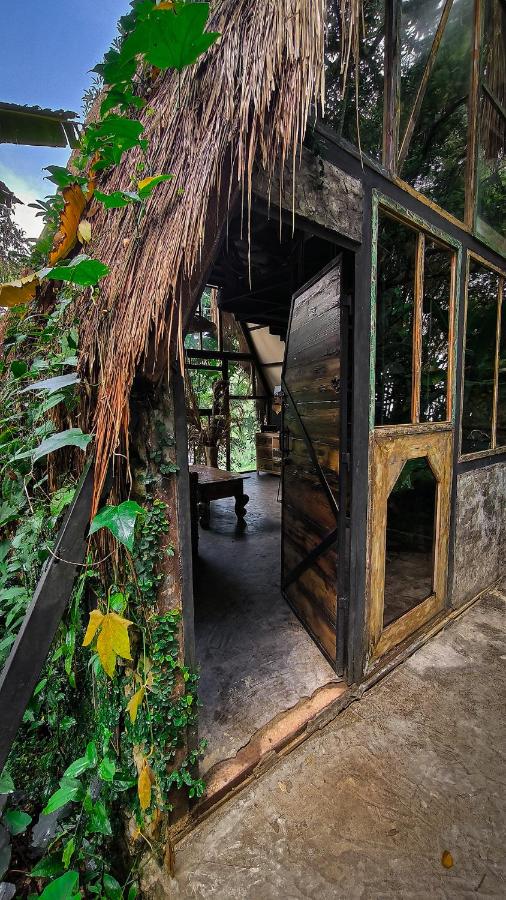 Cerro Tusa Springs - B&B