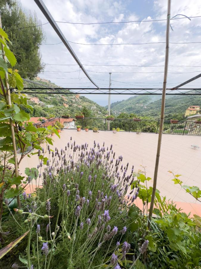 L&R - Casa Illiade con parcheggio libero, terrazza panoramica e Wi-Fi - B&B Sanremo