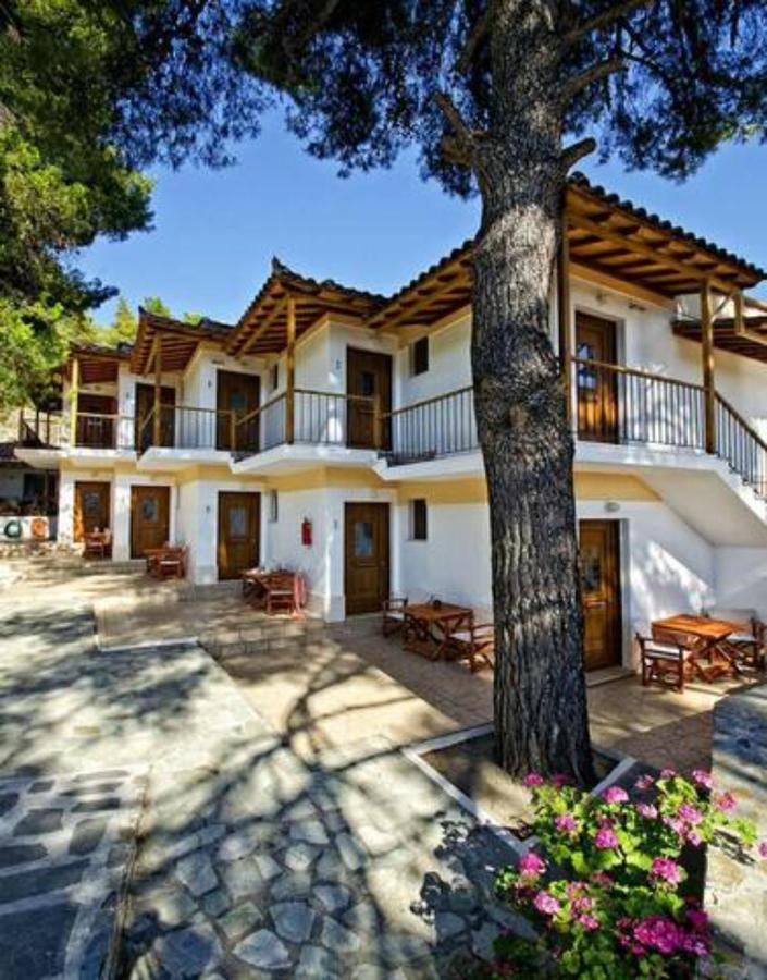 The Pine Trees - B&B Agnontas