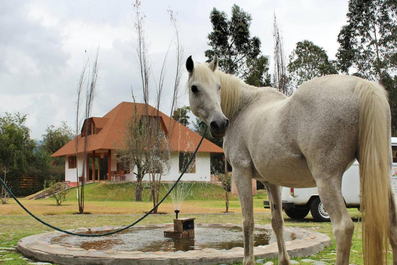 Casa Ecológica Al Pie Del Volcán - B&B Otavalo
