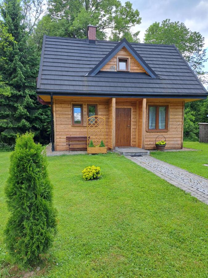 U Eskulapa Bieszczady