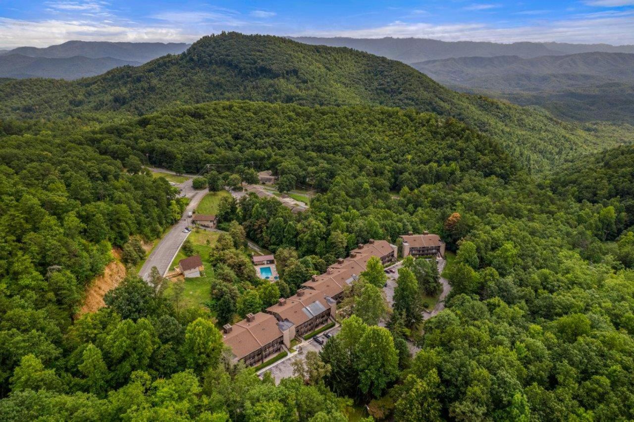 Bearadise Mountain Getaway by Eden Crest - B&B