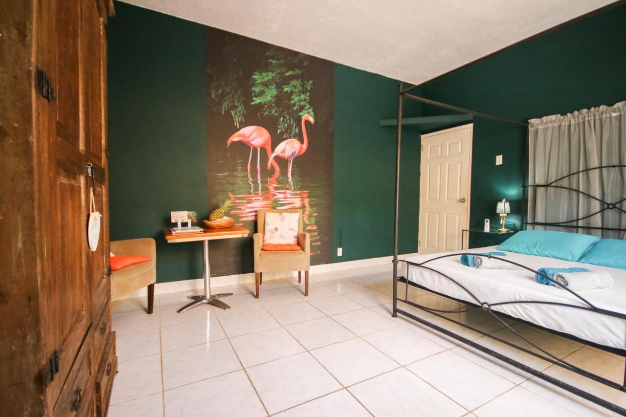 Double Room with Pool View