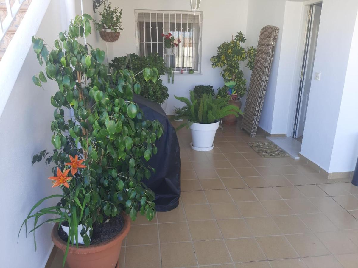Las Gemelas de Terreros 1 - Ferienwohnung