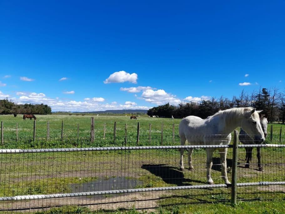 Ancien Couvent avec piscine entre Alpilles et Camargue pour 10 personnes - B&B