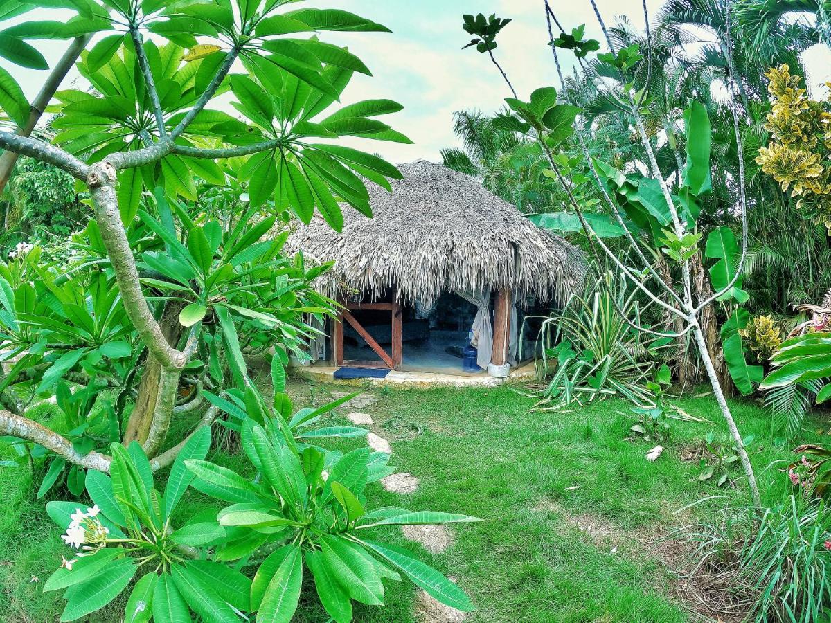 Dream Glamping Jungle Bohio - B&B