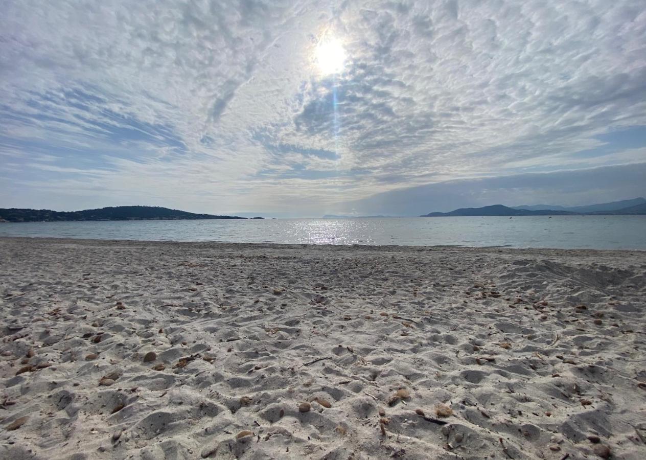 Appartement Les Cigales Rez de Jardin à 10mn des plus belles plages - Chambres d'hôtes Hyères