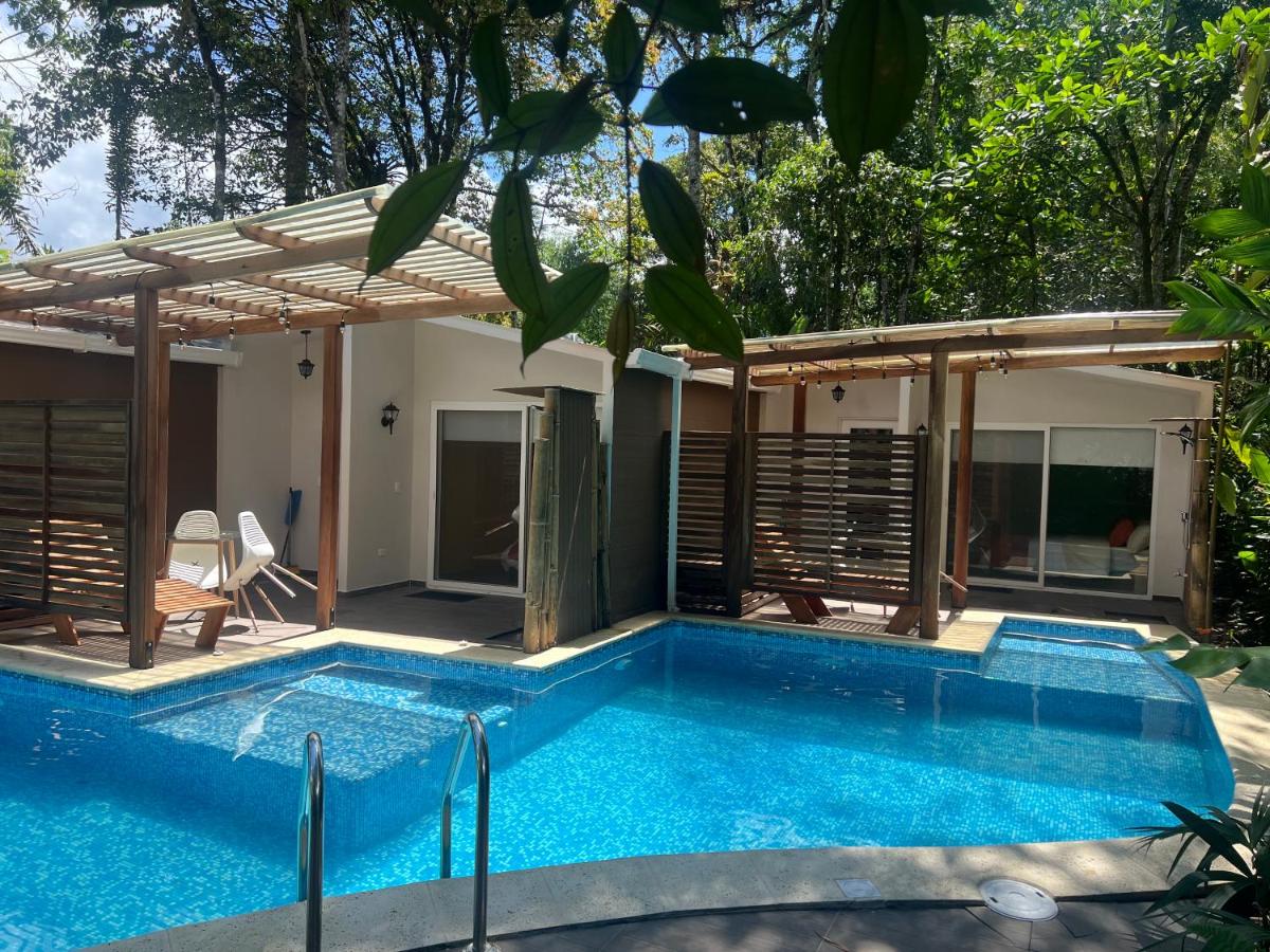 B&B Mindo - Subtropica Premium Suites - Mindo - Bed and Breakfast Mindo