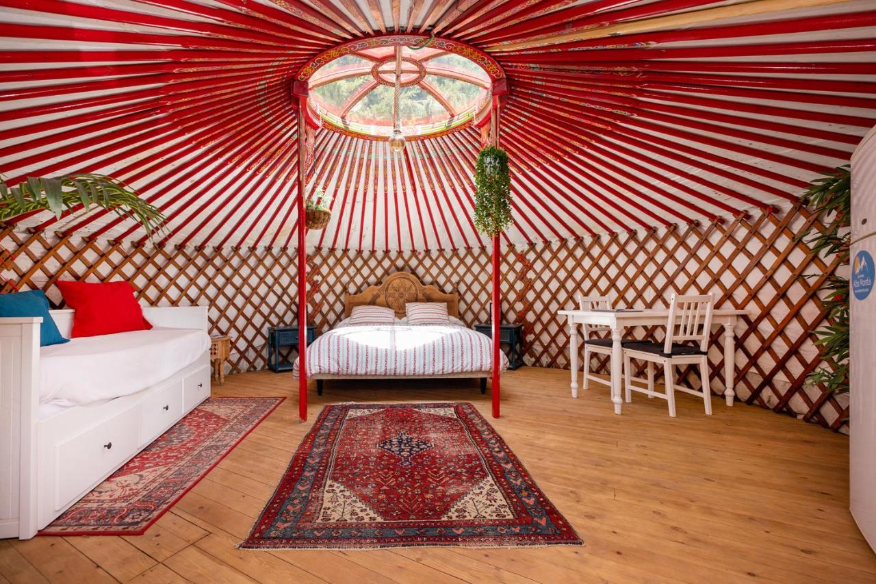 Yurt with big garden