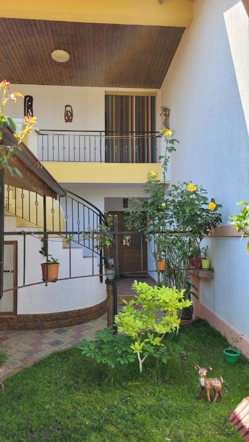 Casa Luminița 2Mai - B&B