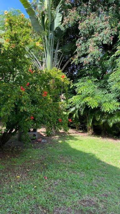 Studio les Frégates - Chambres d’hôtes Le François