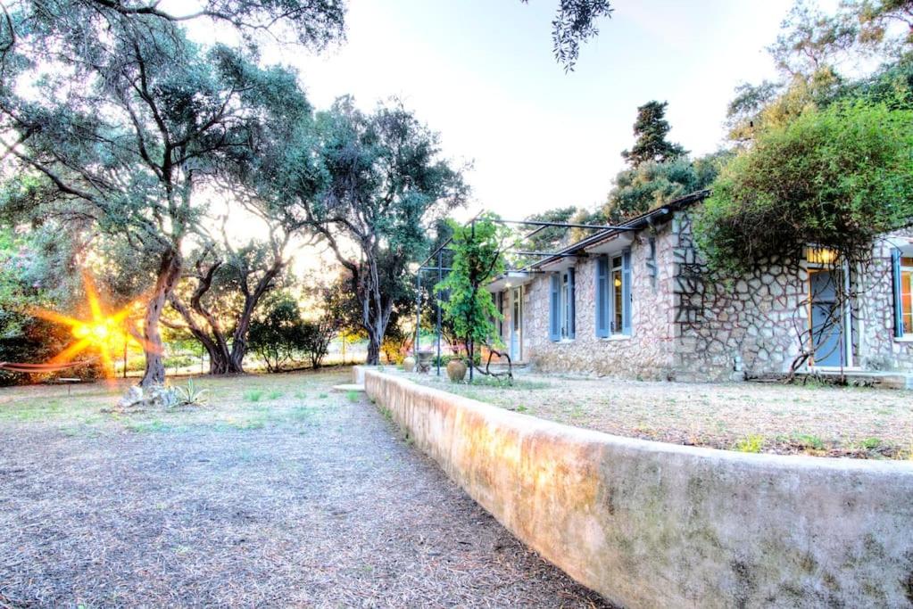 Black Olive Cottage Paramonas - B&B Grevedianá