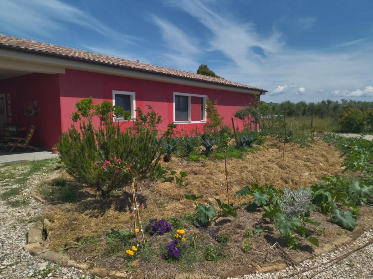 Le Dimore Rosse - Agriturismo - B&B