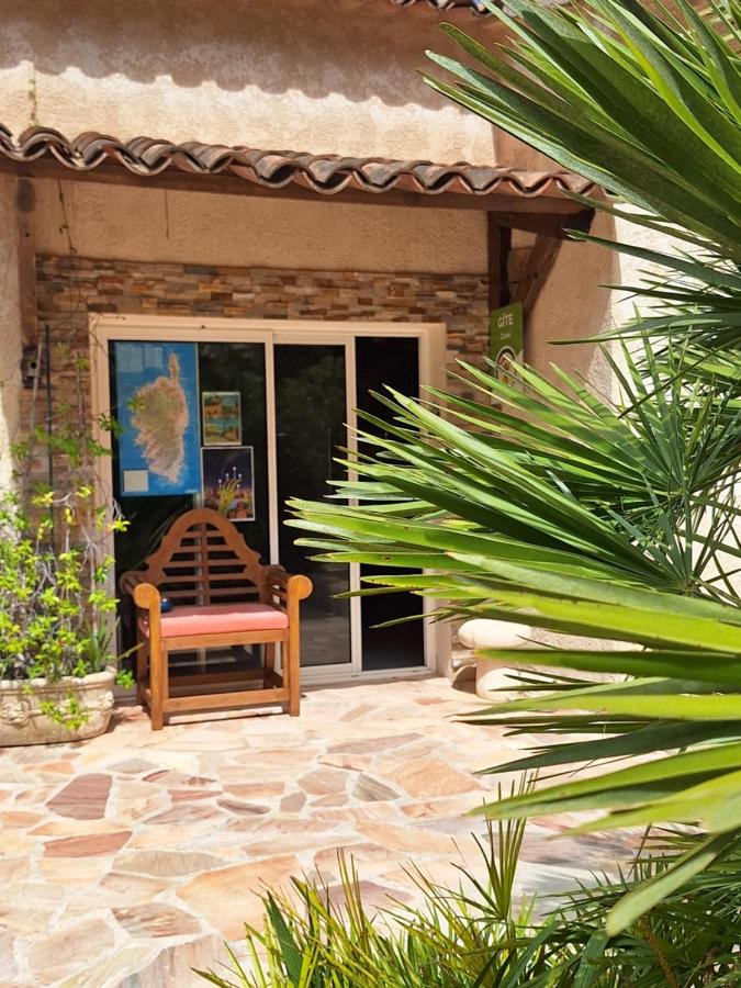 Gîte Acellu - B&B