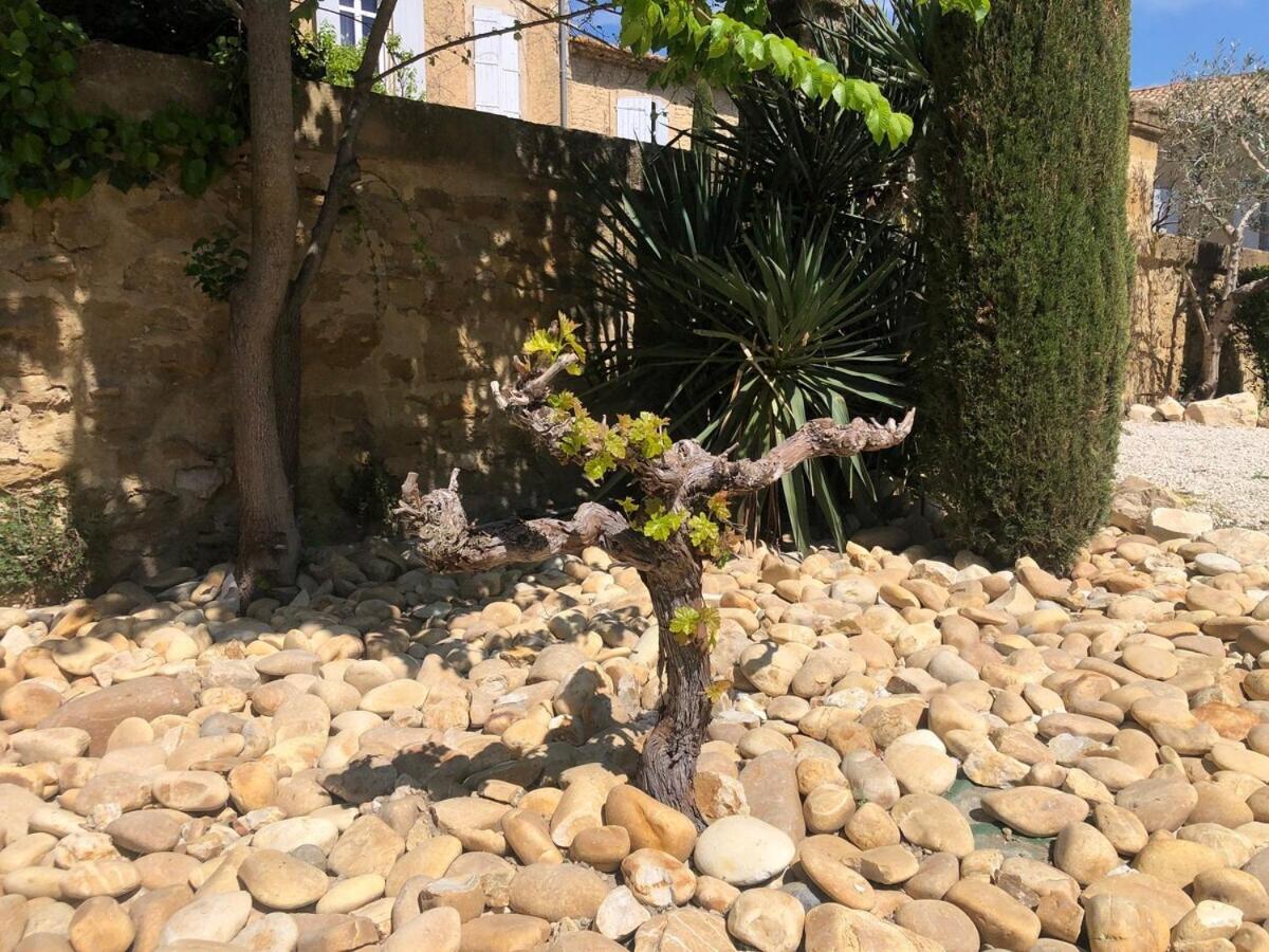 Domaine de la Dragonette Mas from the 18th century in the heart of Provence- Lubéron-Avignon - Chambres d’hôtes