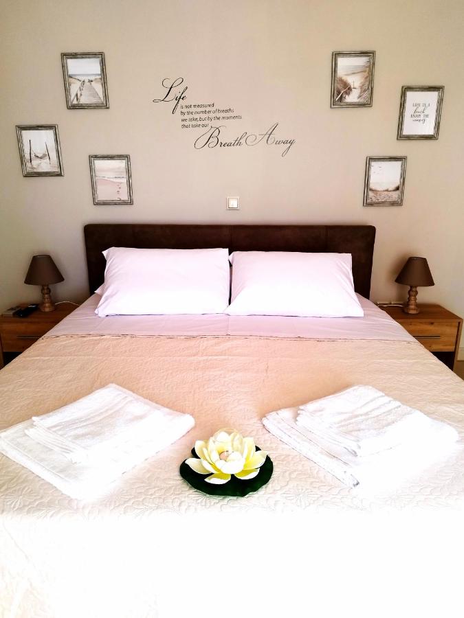 Appartamento con 1 Camera da Letto